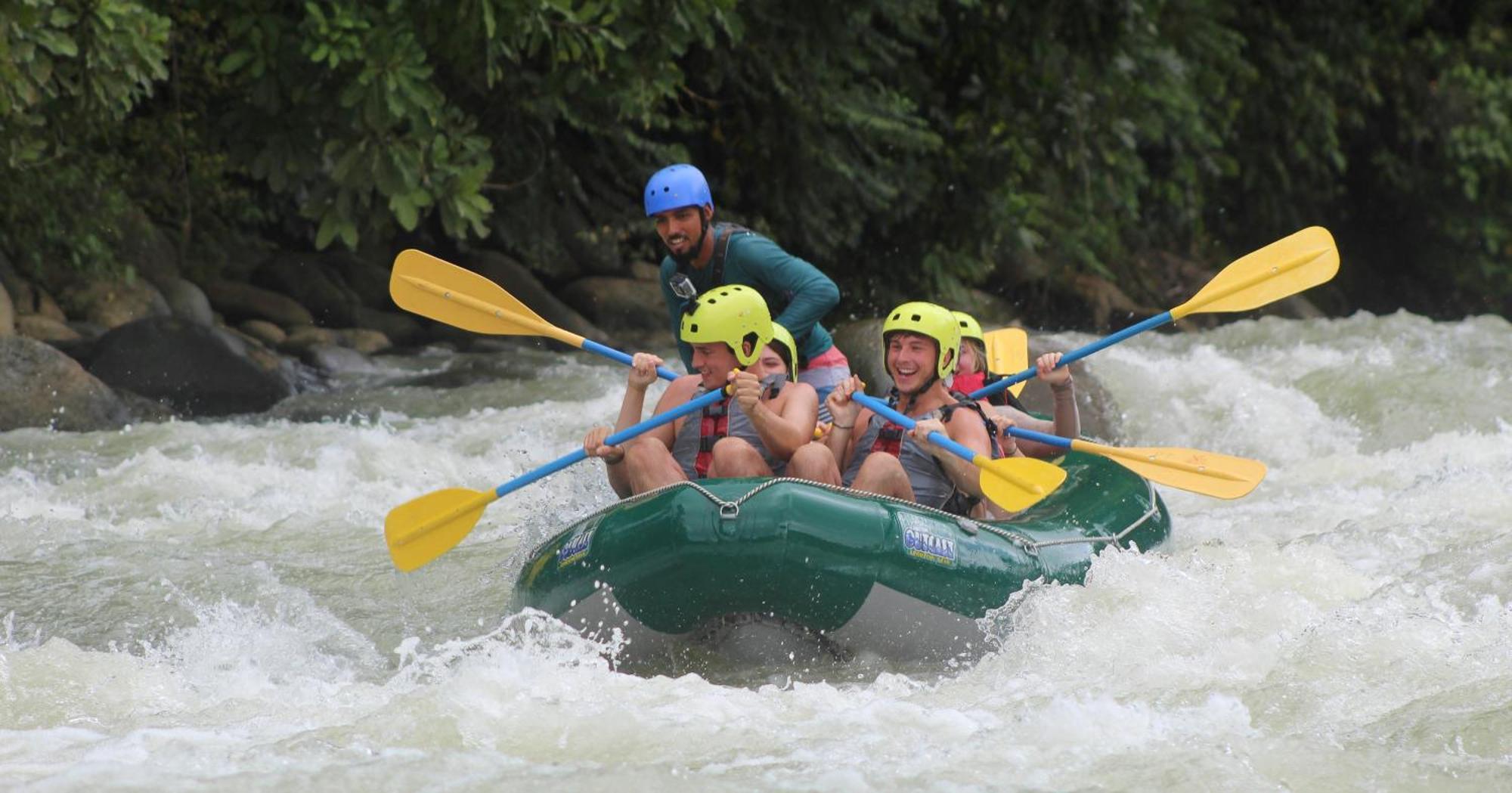 Paradiselodge Jungleguesthouse Platanillo Eksteriør bilde